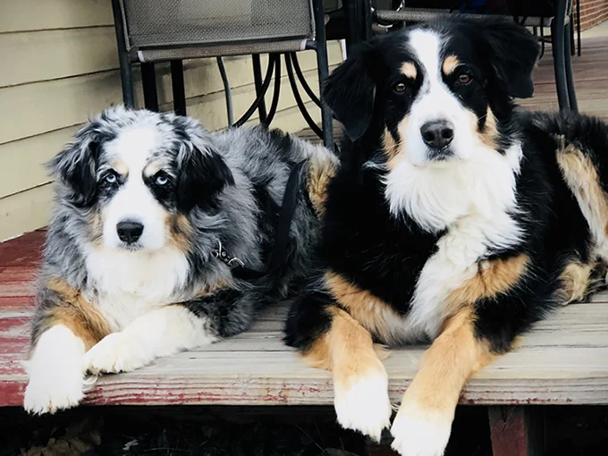 Just Act! - thumbnail 2