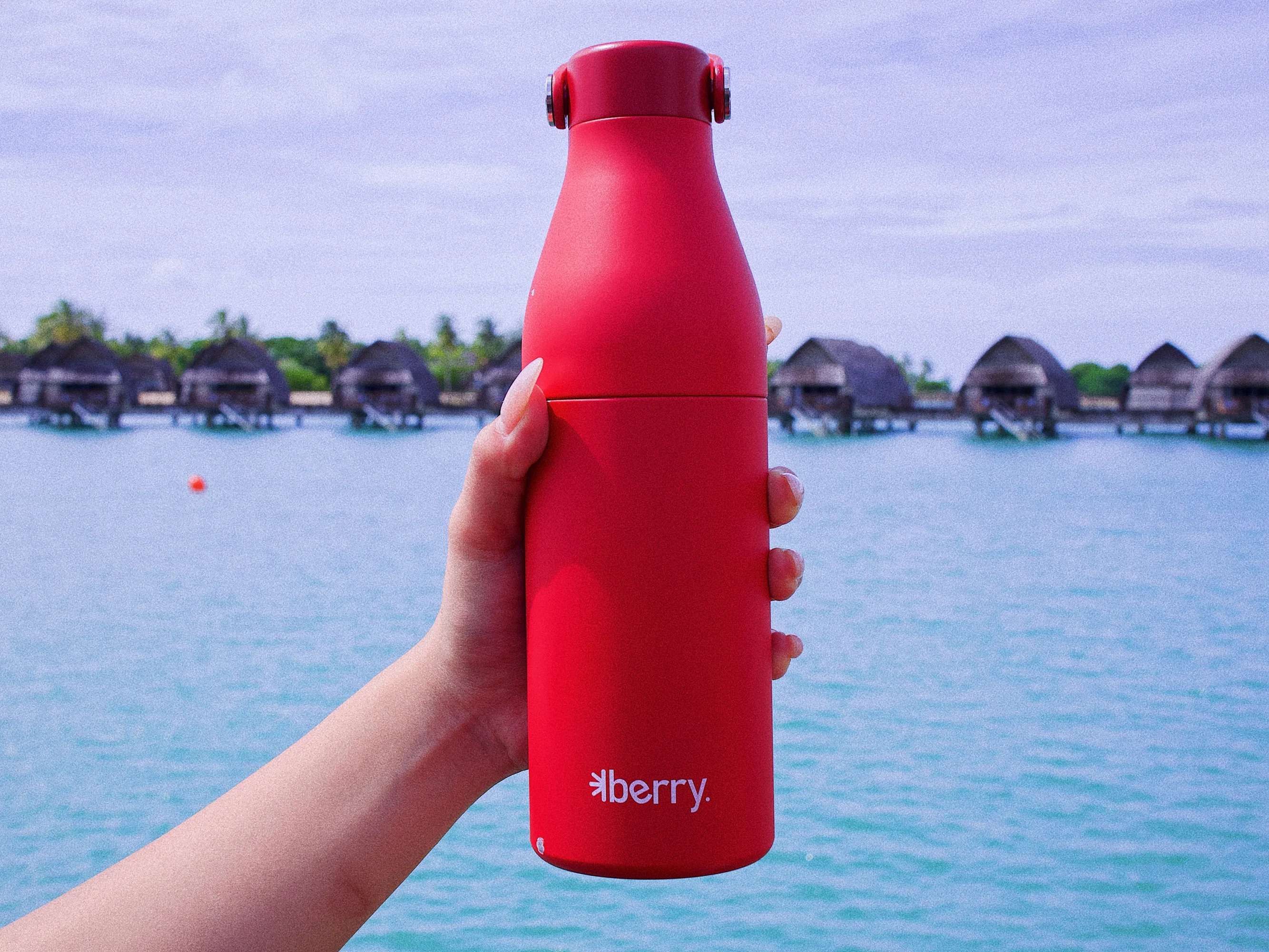 Berry Bottles - thumbnail 3