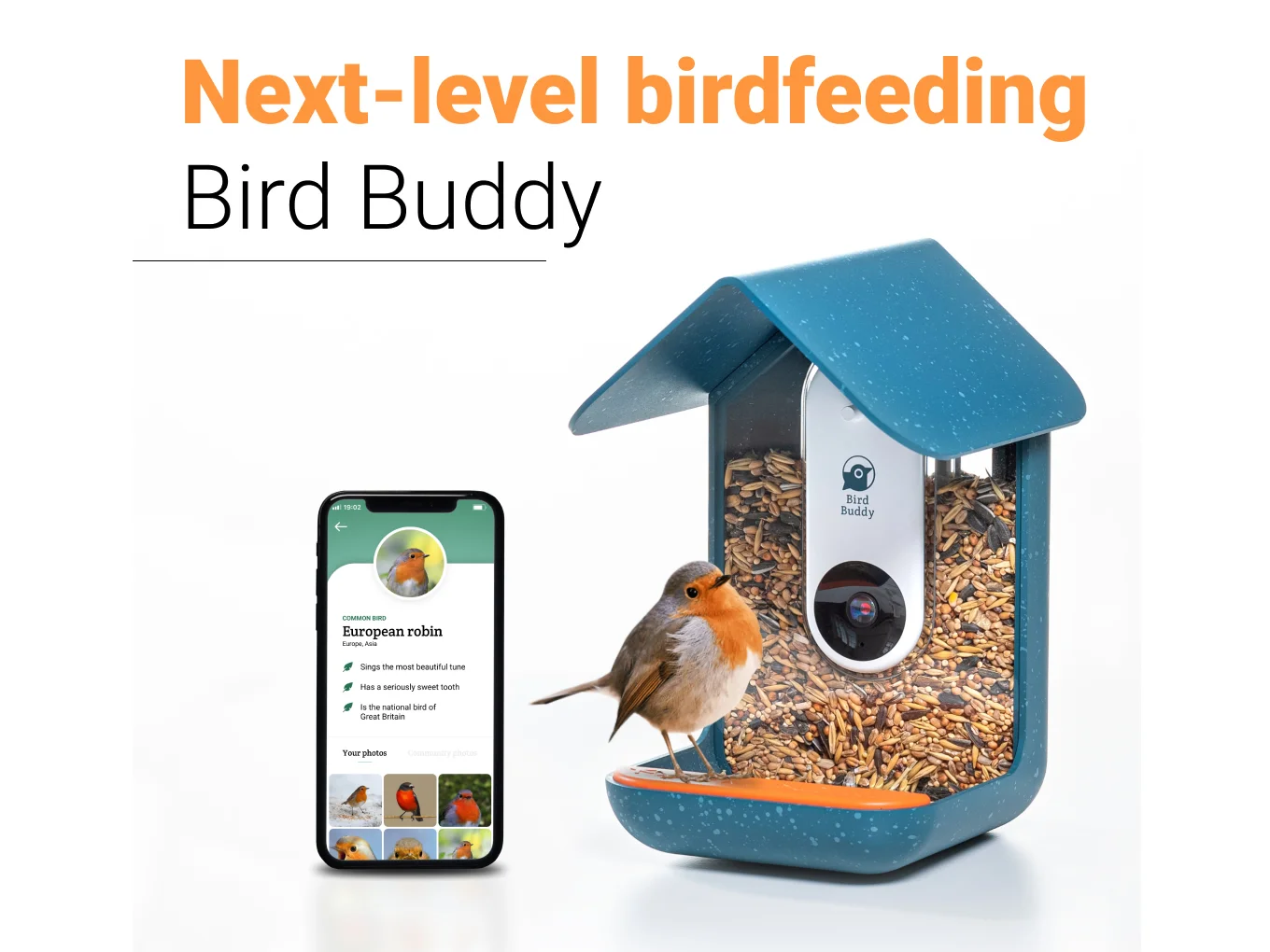 Bird Buddy - thumbnail 2