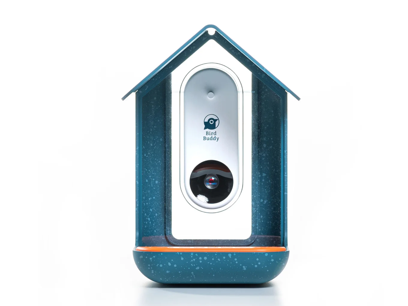 Bird Buddy - thumbnail 3