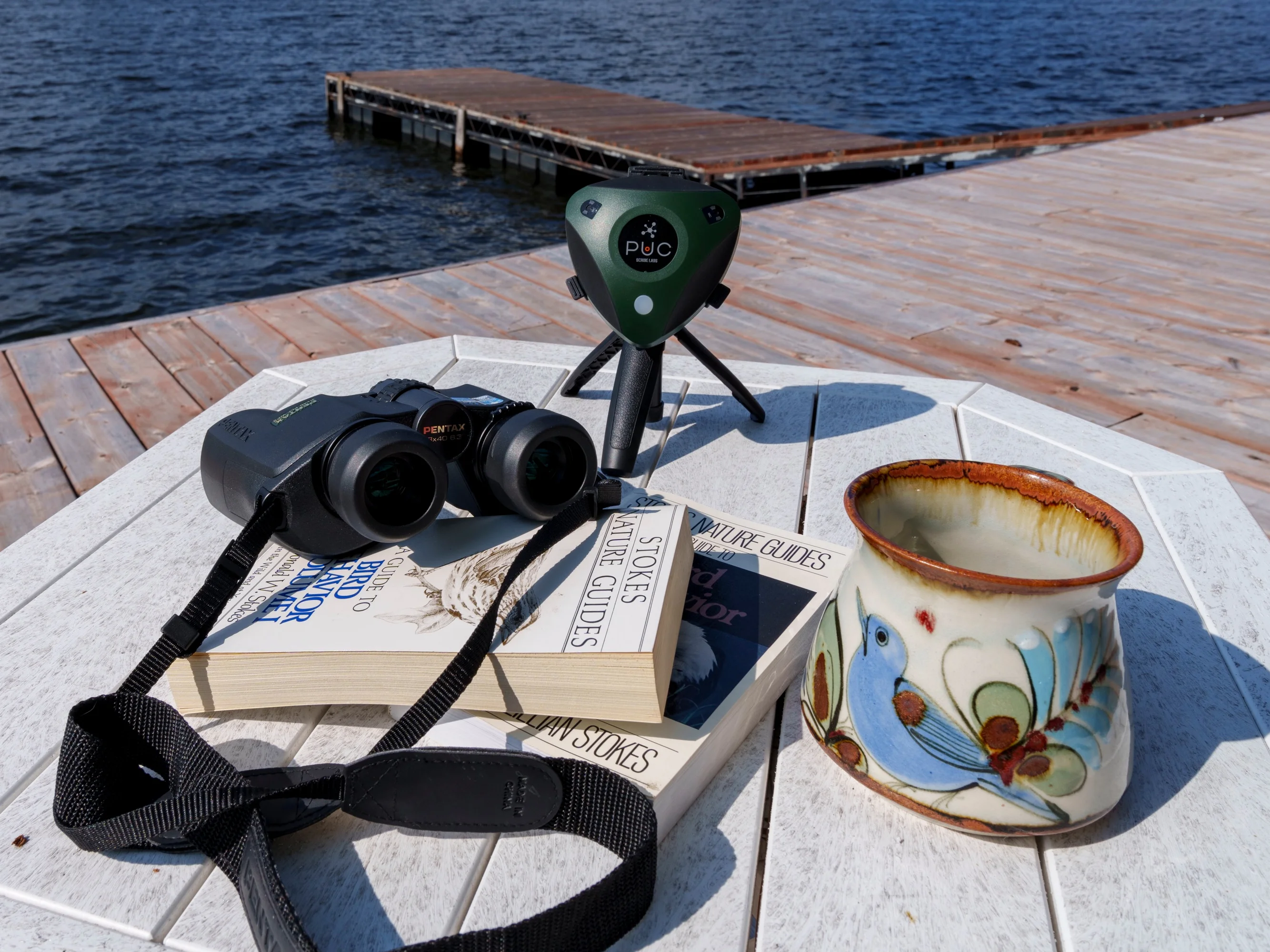 BirdWeather PUC - thumbnail 2