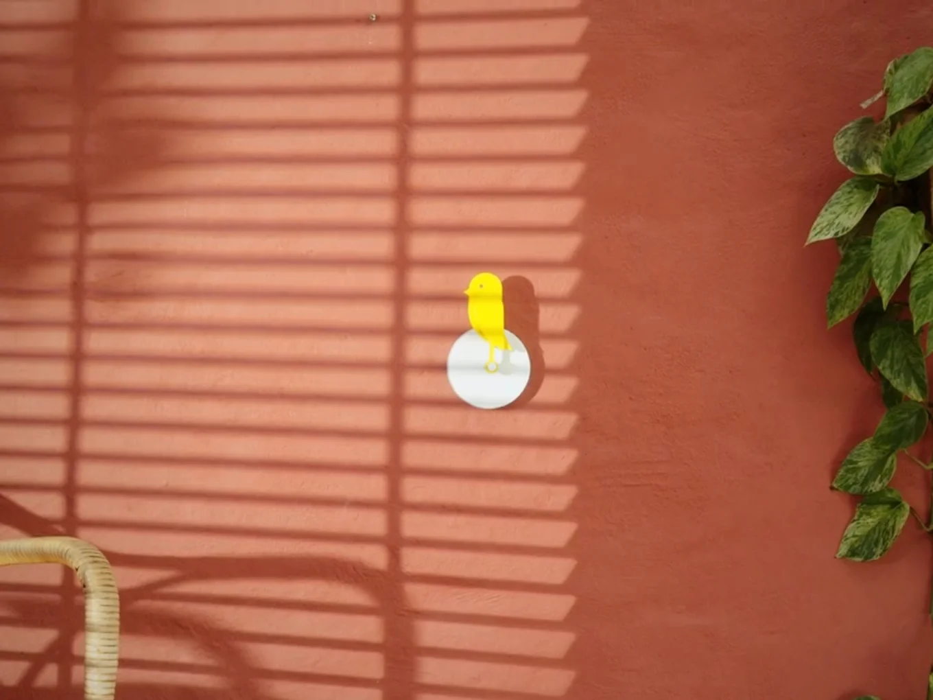 Canairi - thumbnail 3