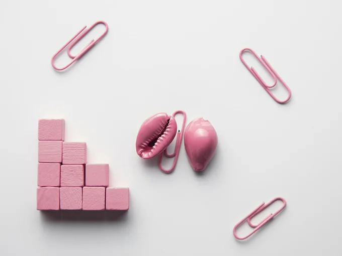 Cocky Cowrie - thumbnail 3