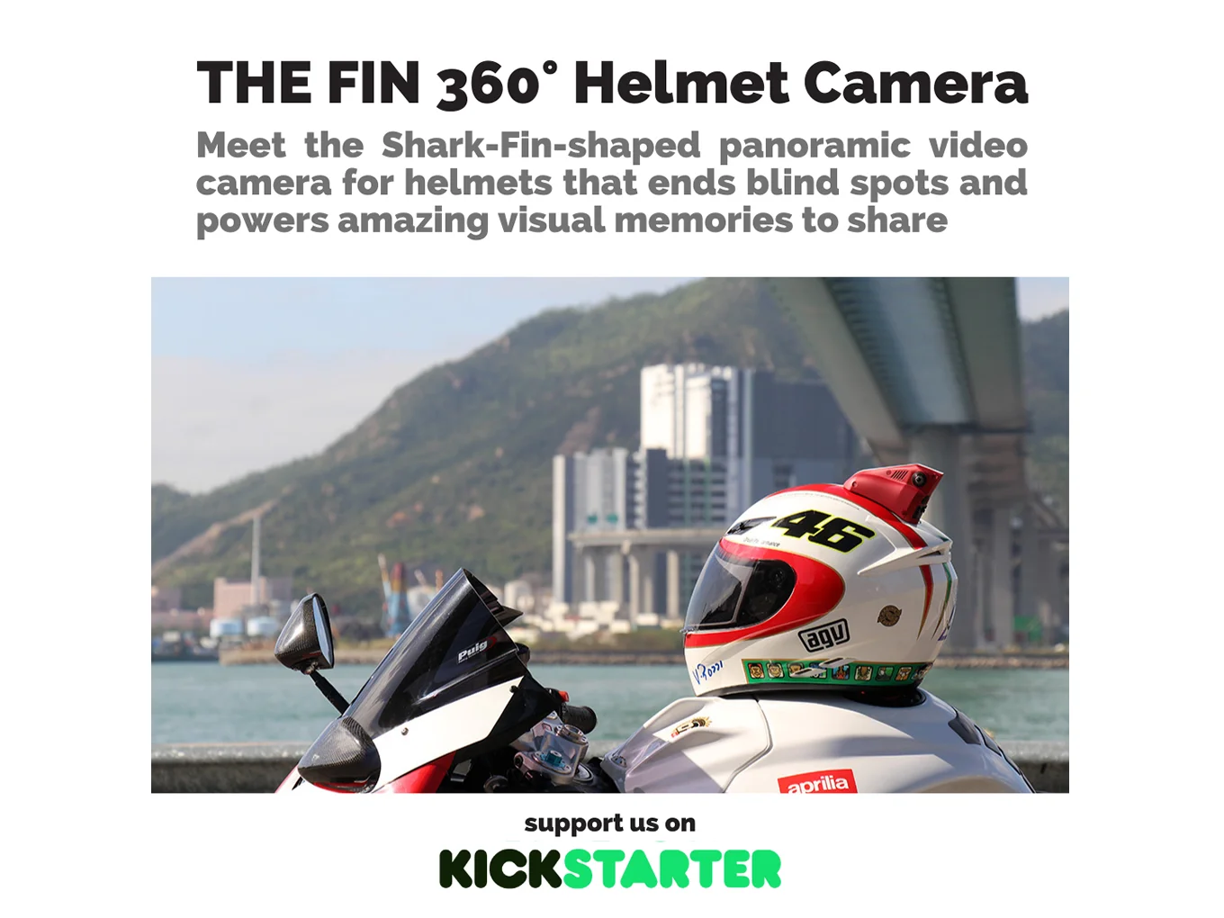 The Fin - thumbnail 3