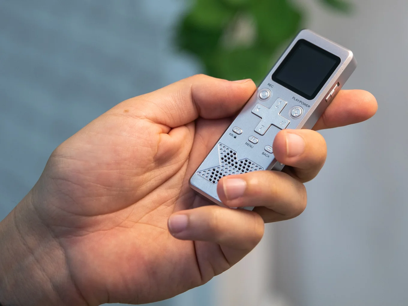 FirstRec - thumbnail 2