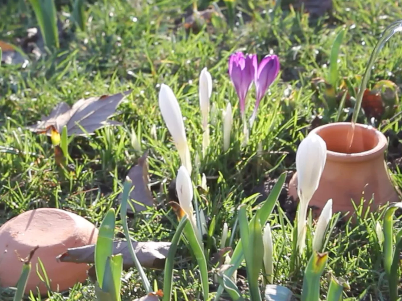 Garden Stack - thumbnail 3