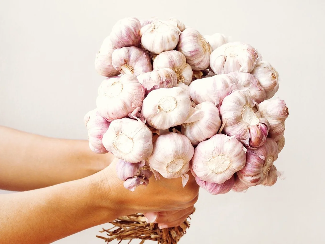 GARLIC ROCKET - thumbnail 3