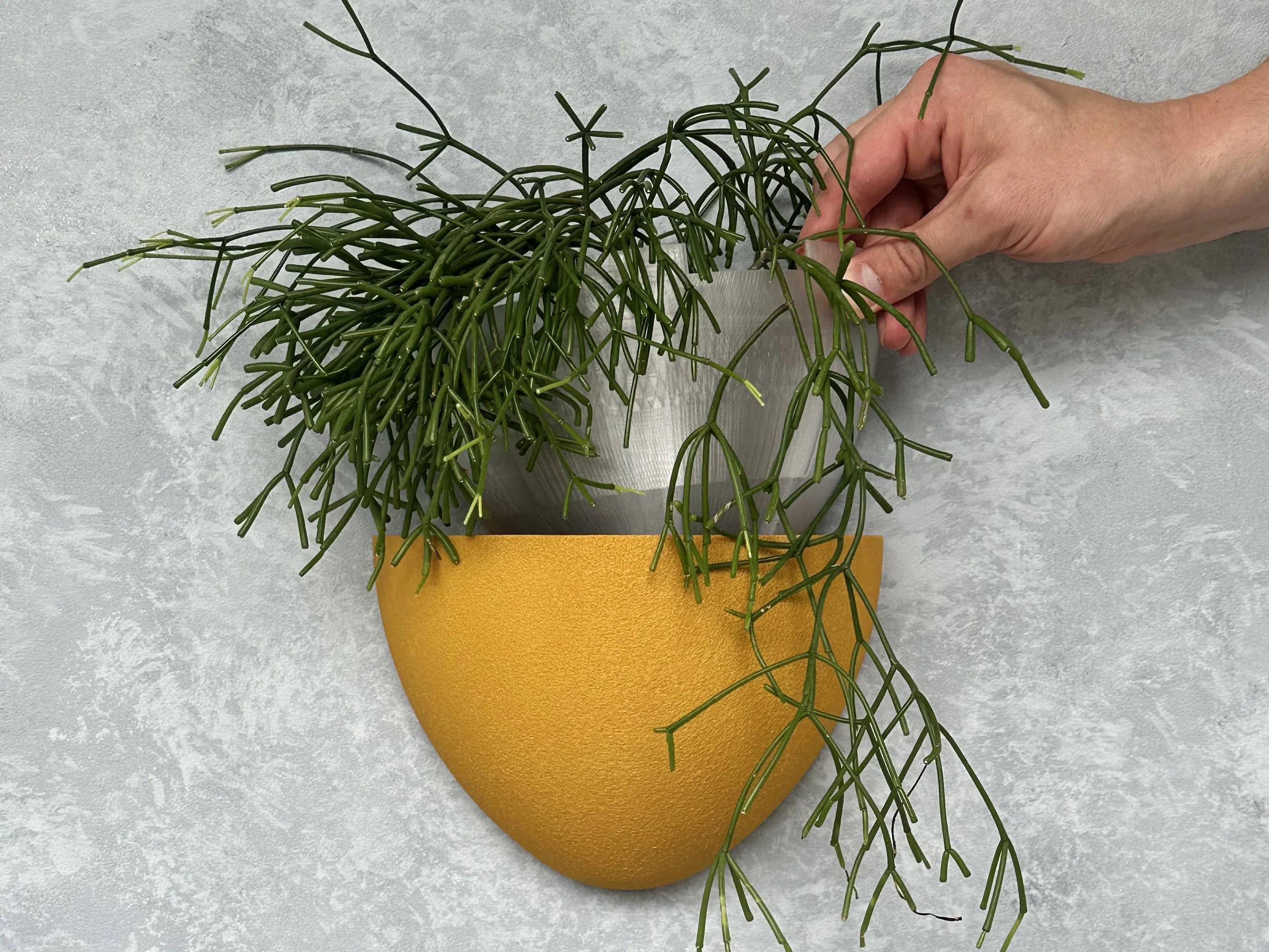 Gecko Planters - thumbnail 3