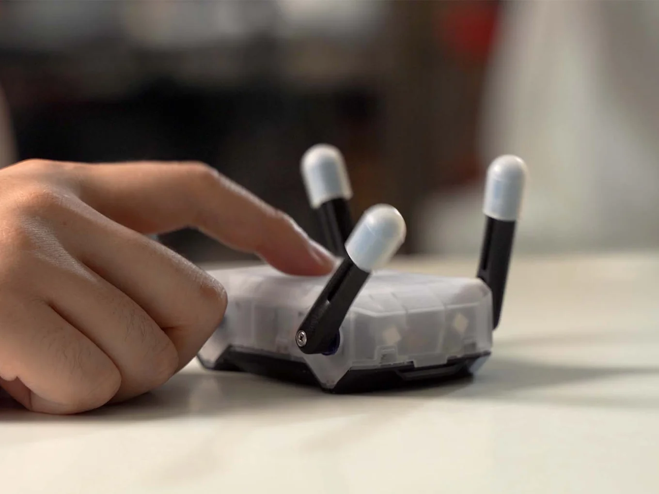 KT2 Kungfu Turtle - thumbnail 2