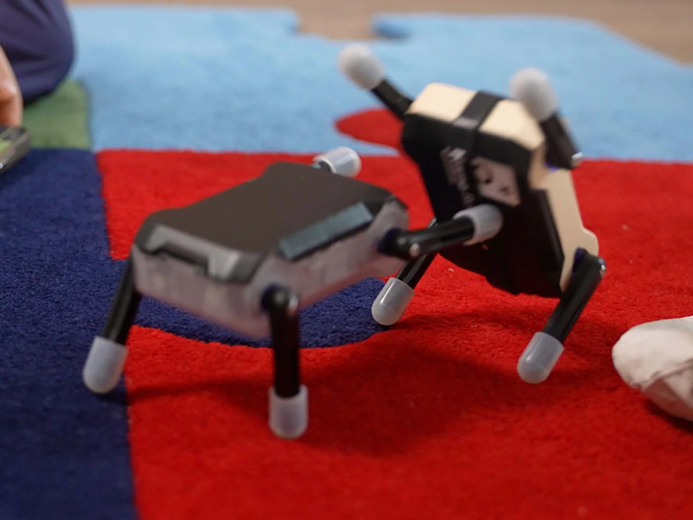 KT2 Kungfu Turtle - thumbnail 3