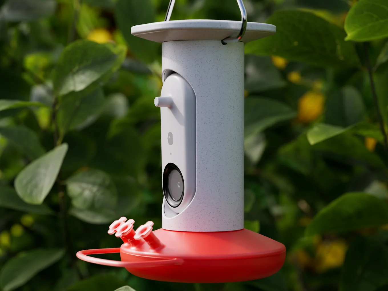 Bird Buddy: Summer of Birding - thumbnail 2