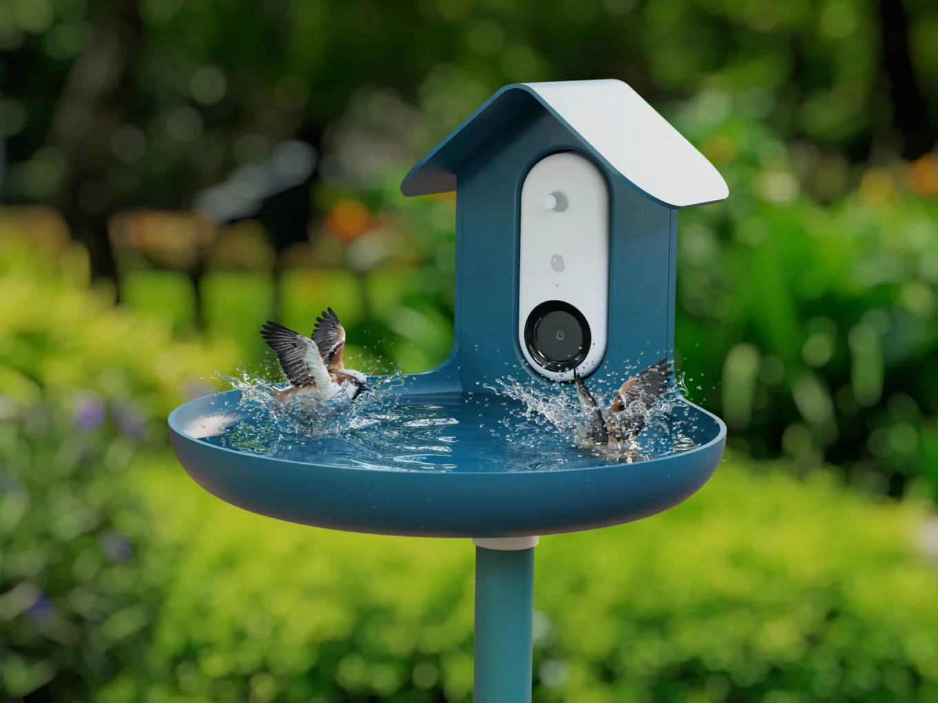 Bird Buddy: Summer of Birding - thumbnail 3