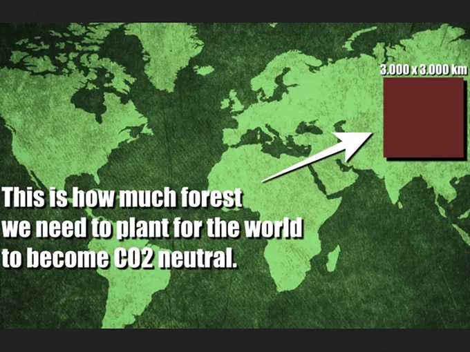 Naturr - thumbnail 3