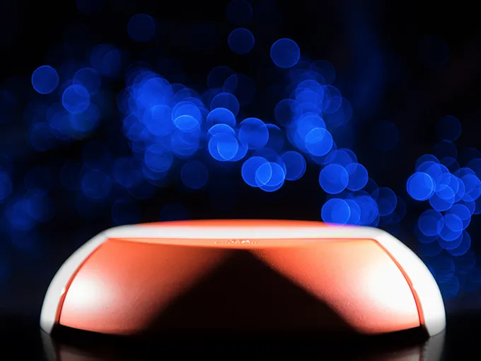 Pangolin - thumbnail 3