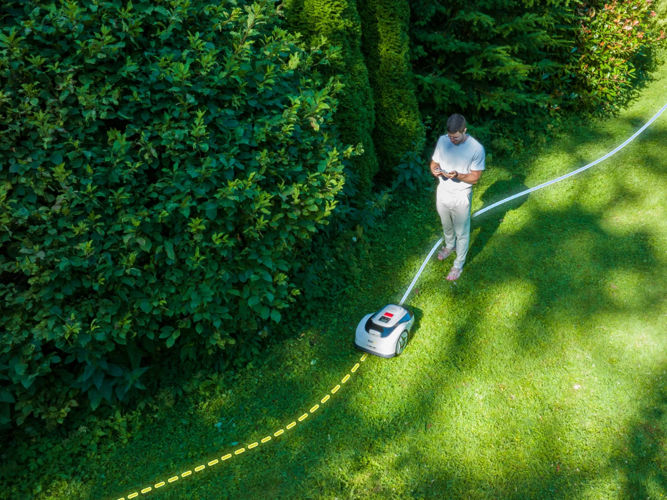 Raccoon 2 SE - thumbnail 2