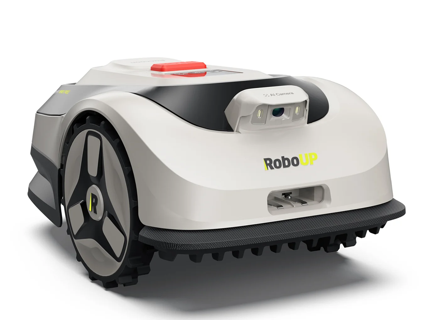 Raccoon 2 SE - thumbnail 3