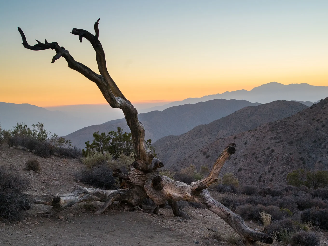 Resonance - thumbnail 2