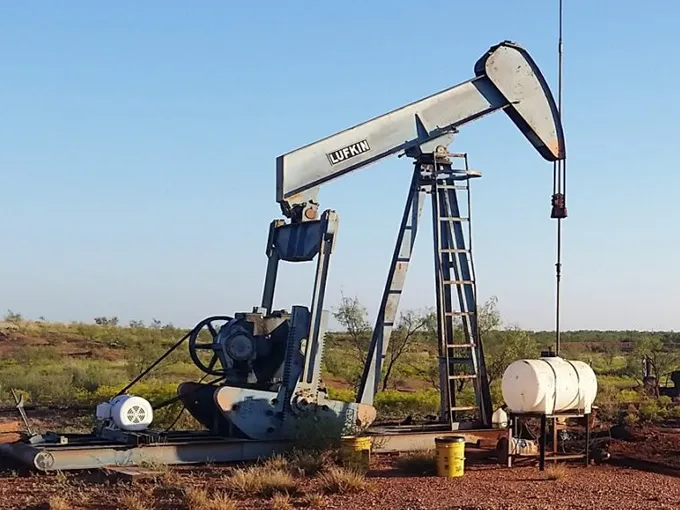 South Plains Petroleum, Inc.  - thumbnail 3