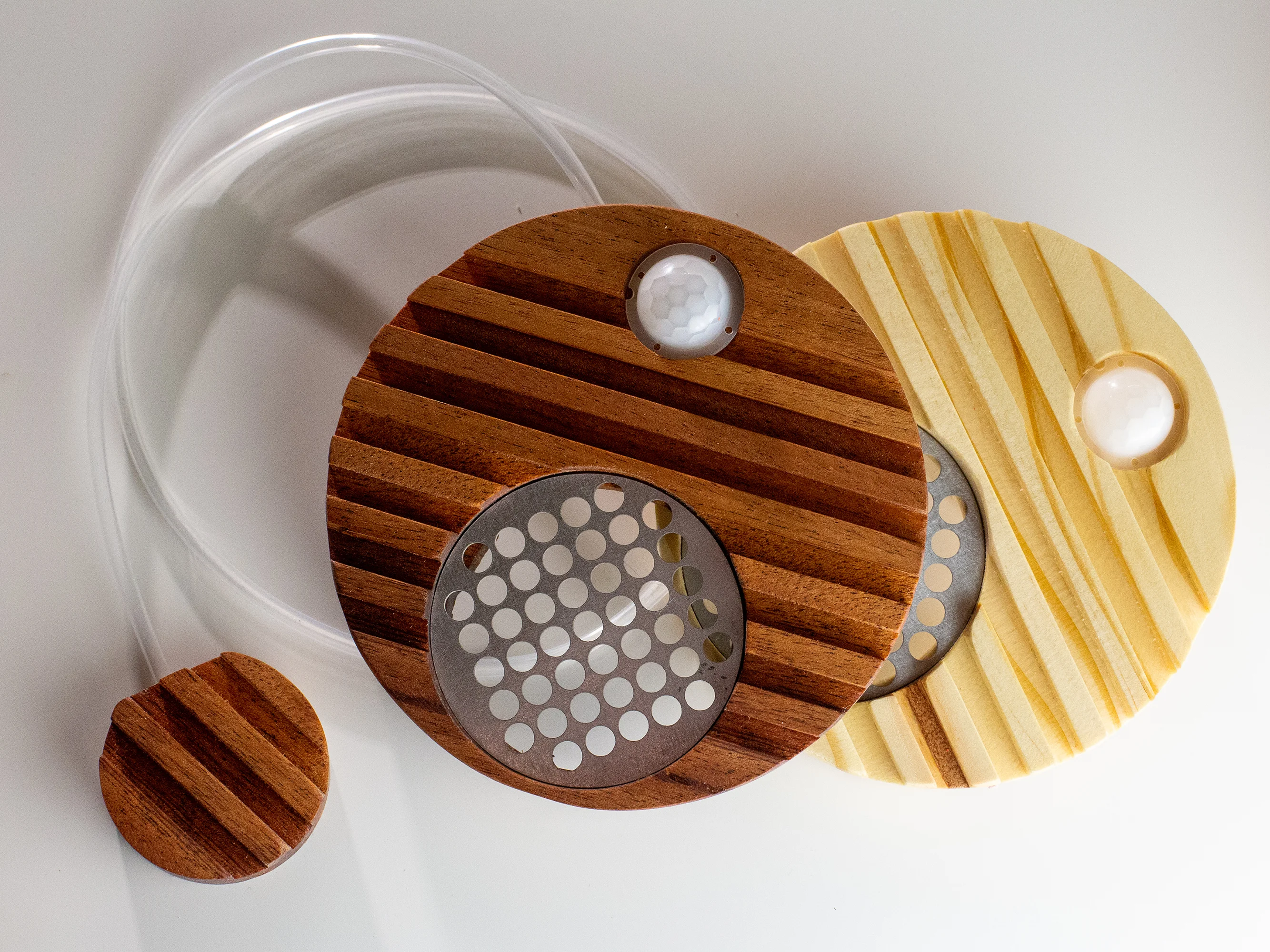 Sprout Houseplant Tender - thumbnail 2