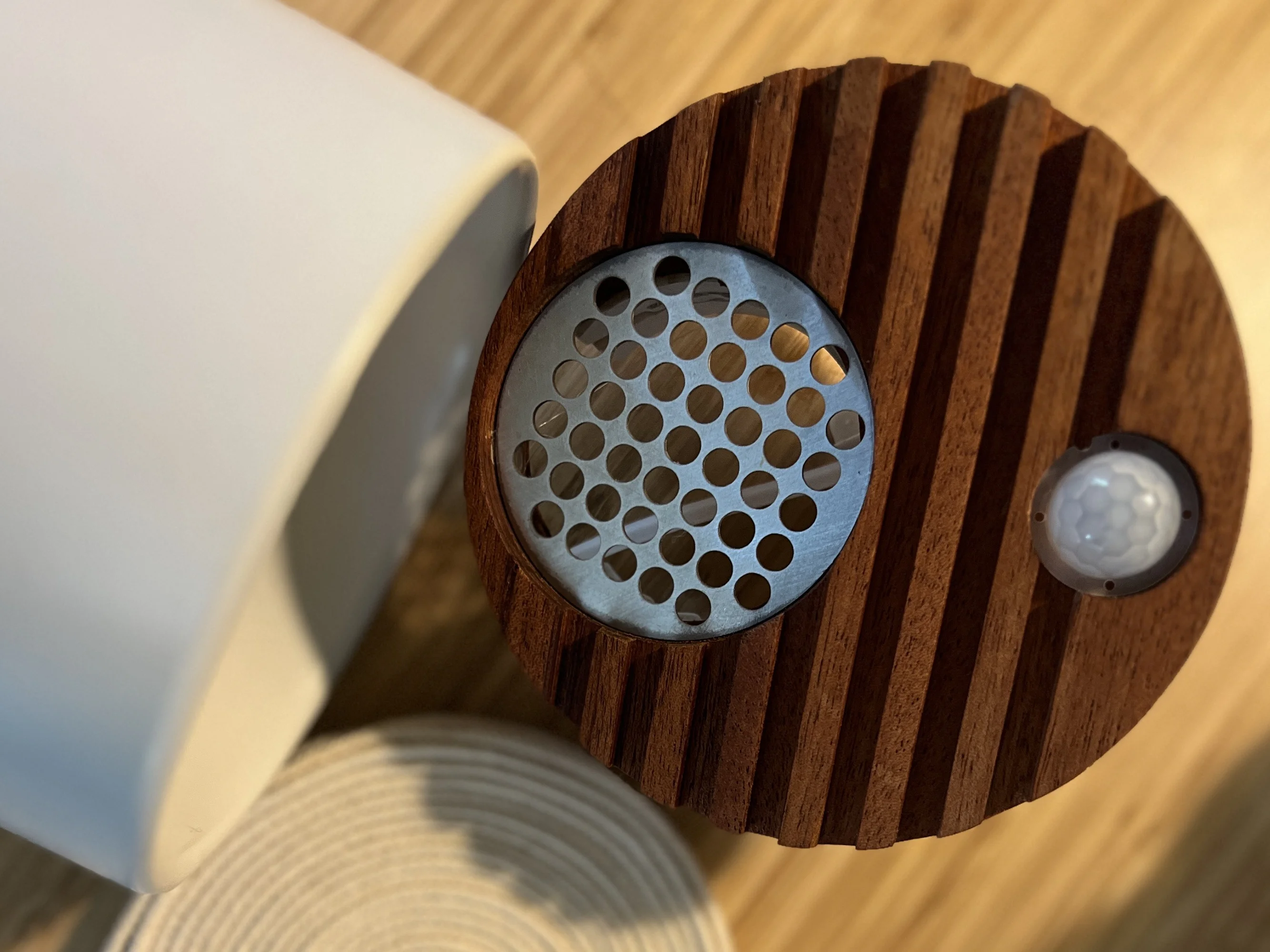 Sprout Houseplant Tender - thumbnail 3