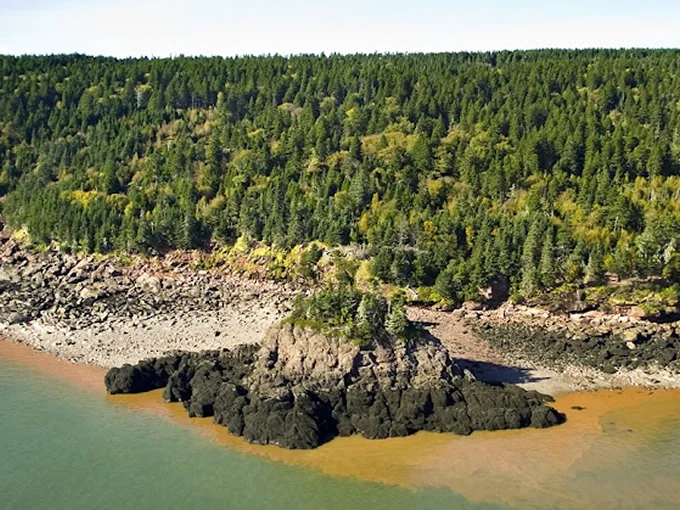 Breathing Room: Treepocalypse! - thumbnail 3