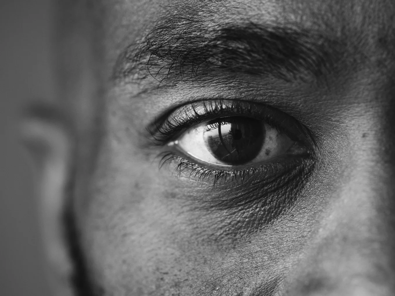 The Trumpets - thumbnail 3